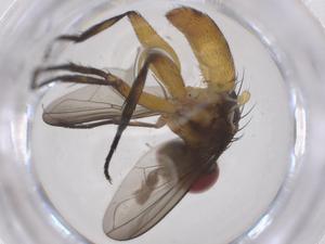  ( - CBG-B15067-D02)  @11 [ ] CreativeCommons - Attribution Share - Alike (2025) Centre for Biodiversity Genomics Centre for Biodiversity Genomics