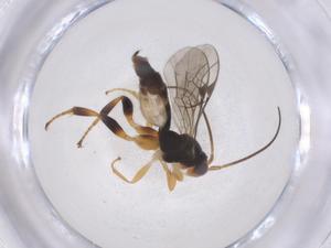  ( - CBG-B15142-F09)  @11 [ ] CreativeCommons - Attribution Share - Alike (2025) Centre for Biodiversity Genomics Centre for Biodiversity Genomics