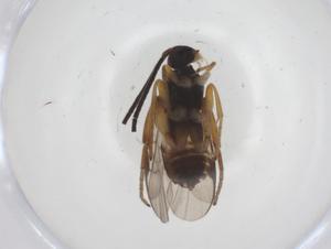  ( - CBG-B16697-B03)  @11 [ ] CreativeCommons - Attribution Share - Alike (2025) Centre for Biodiversity Genomics Centre for Biodiversity Genomics