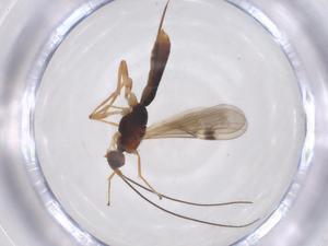  ( - CBG-B16828-C10)  @11 [ ] CreativeCommons - Attribution Share - Alike (2025) Centre for Biodiversity Genomics Centre for Biodiversity Genomics