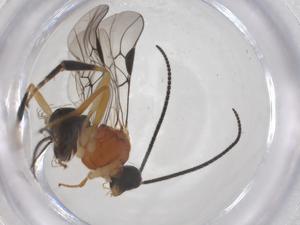  ( - CBG-A66273-F03)  @11 [ ] CreativeCommons - Attribution Share - Alike (2025) Centre for Biodiversity Genomics Centre for Biodiversity Genomics