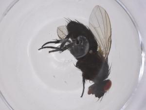  ( - CBG-A66501-D07)  @11 [ ] CreativeCommons - Attribution Share - Alike (2025) Centre for Biodiversity Genomics Centre for Biodiversity Genomics