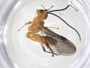  ( - CBG-A66520-H07)  @11 [ ] CreativeCommons - Attribution Share - Alike (2025) Centre for Biodiversity Genomics Centre for Biodiversity Genomics