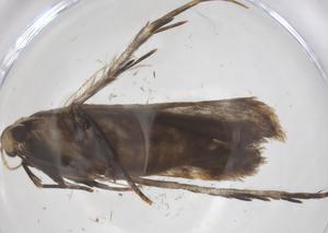  ( - CBG-A66528-E05)  @11 [ ] CreativeCommons - Attribution Share - Alike (2025) Centre for Biodiversity Genomics Centre for Biodiversity Genomics