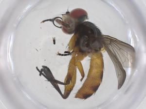  ( - CBG-A66697-C10)  @11 [ ] CreativeCommons - Attribution Share - Alike (2025) Centre for Biodiversity Genomics Centre for Biodiversity Genomics