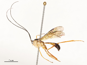  ( - CBG-A67836-F12)  @11 [ ] CreativeCommons - Attribution Share - Alike (2025) CBG Photography Group Centre for Biodiversity Genomics