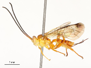  ( - CBG-A67846-C10)  @11 [ ] CreativeCommons - Attribution Share - Alike (2025) CBG Photography Group Centre for Biodiversity Genomics