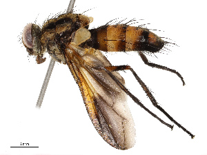  ( - CBG-A67851-C09)  @11 [ ] CreativeCommons - Attribution Share - Alike (2025) CBG Photography Group Centre for Biodiversity Genomics