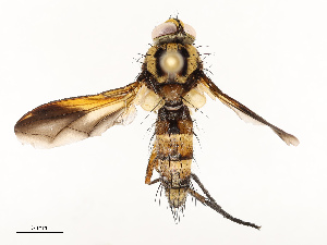  ( - CBG-A67851-D04)  @11 [ ] CreativeCommons - Attribution Share - Alike (2025) CBG Photography Group Centre for Biodiversity Genomics