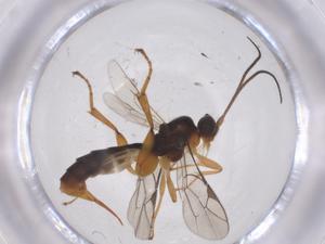  ( - CBG-A68410-F07)  @11 [ ] CreativeCommons - Attribution Share - Alike (2025) Centre for Biodiversity Genomics Centre for Biodiversity Genomics