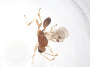  ( - CBG-A69294-C01)  @11 [ ] CreativeCommons - Attribution Share - Alike (2025) Centre for Biodiversity Genomics Centre for Biodiversity Genomics