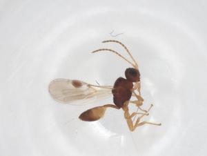  ( - CBG-A69298-E05)  @11 [ ] CreativeCommons - Attribution Share - Alike (2025) Centre for Biodiversity Genomics Centre for Biodiversity Genomics