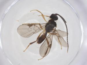  ( - CBG-A69307-E05)  @11 [ ] CreativeCommons - Attribution Share - Alike (2025) Centre for Biodiversity Genomics Centre for Biodiversity Genomics