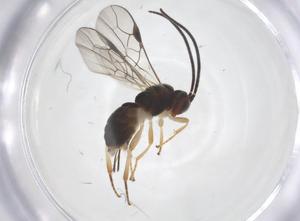  ( - CBG-A69307-H11)  @11 [ ] CreativeCommons - Attribution Share - Alike (2025) Centre for Biodiversity Genomics Centre for Biodiversity Genomics