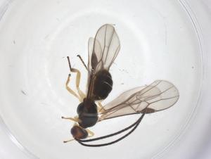  ( - CBG-A69313-A05)  @11 [ ] CreativeCommons - Attribution Share - Alike (2025) Centre for Biodiversity Genomics Centre for Biodiversity Genomics