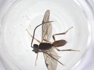  ( - CBG-A69313-H08)  @11 [ ] CreativeCommons - Attribution Share - Alike (2025) Centre for Biodiversity Genomics Centre for Biodiversity Genomics