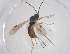  ( - CBG-A69348-E06)  @11 [ ] CreativeCommons - Attribution Share - Alike (2025) Centre for Biodiversity Genomics Centre for Biodiversity Genomics