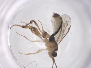  ( - CBG-A69357-A08)  @11 [ ] CreativeCommons - Attribution Share - Alike (2025) Centre for Biodiversity Genomics Centre for Biodiversity Genomics