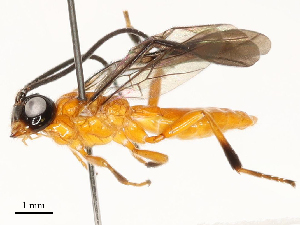  ( - CBG-A69617-D08)  @11 [ ] CreativeCommons - Attribution Share - Alike (2025) CBG Photography Group Centre for Biodiversity Genomics