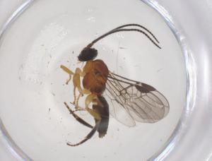  ( - CBG-A69948-D08)  @11 [ ] CreativeCommons - Attribution Share - Alike (2025) Centre for Biodiversity Genomics Centre for Biodiversity Genomics