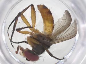  ( - CBG-A70148-E01)  @11 [ ] CreativeCommons - Attribution Share - Alike (2025) Centre for Biodiversity Genomics Centre for Biodiversity Genomics