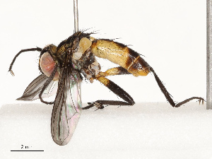  ( - CBG-A72941-D03)  @11 [ ] CreativeCommons - Attribution Share - Alike (2025) CBG Photography Group Centre for Biodiversity Genomics