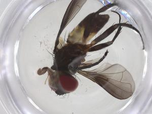  ( - CBG-A63423-G02)  @11 [ ] CreativeCommons - Attribution Share - Alike (2025) Centre for Biodiversity Genomics Centre for Biodiversity Genomics