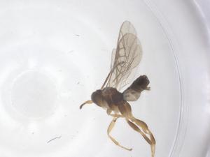  ( - CBG-A67648-A09)  @11 [ ] CreativeCommons - Attribution Share - Alike (2025) Centre for Biodiversity Genomics Centre for Biodiversity Genomics