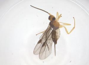  ( - CBG-A67668-C01)  @11 [ ] CreativeCommons - Attribution Share - Alike (2025) Centre for Biodiversity Genomics Centre for Biodiversity Genomics