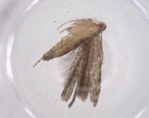  ( - CBG-A67781-C02)  @11 [ ] CreativeCommons - Attribution Share - Alike (2025) Centre for Biodiversity Genomics Centre for Biodiversity Genomics