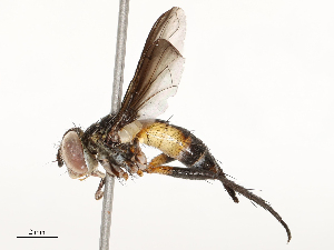  ( - CBG-A67866-E02)  @11 [ ] CreativeCommons - Attribution Share - Alike (2025) CBG Photography Group Centre for Biodiversity Genomics