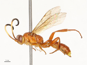  ( - CBG-A67913-B02)  @11 [ ] CreativeCommons - Attribution Share - Alike (2025) CBG Photography Group Centre for Biodiversity Genomics