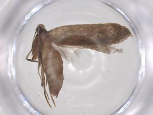  ( - CBG-A68037-E09)  @11 [ ] CreativeCommons - Attribution Share - Alike (2025) Centre for Biodiversity Genomics Centre for Biodiversity Genomics