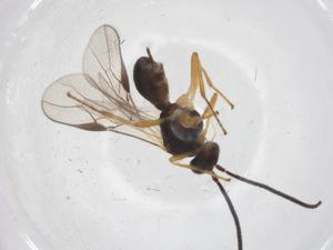  ( - CBG-A68044-F08)  @11 [ ] CreativeCommons - Attribution Share - Alike (2025) Centre for Biodiversity Genomics Centre for Biodiversity Genomics