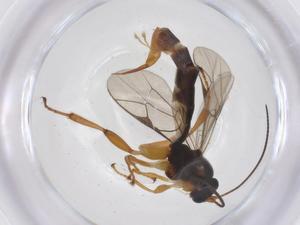  ( - CBG-A68171-C06)  @11 [ ] CreativeCommons - Attribution Share - Alike (2025) Centre for Biodiversity Genomics Centre for Biodiversity Genomics