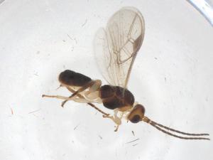  ( - CBG-A68899-G02)  @11 [ ] CreativeCommons - Attribution Share - Alike (2025) Centre for Biodiversity Genomics Centre for Biodiversity Genomics