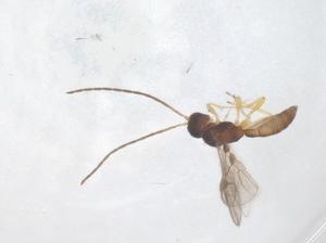  ( - CBG-A68908-A04)  @11 [ ] CreativeCommons - Attribution Share - Alike (2025) Centre for Biodiversity Genomics Centre for Biodiversity Genomics