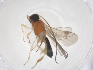  ( - CBG-A68929-G12)  @11 [ ] CreativeCommons - Attribution Share - Alike (2025) Centre for Biodiversity Genomics Centre for Biodiversity Genomics