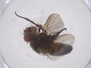  ( - CBG-A69149-E04)  @11 [ ] CreativeCommons - Attribution Share - Alike (2025) Centre for Biodiversity Genomics Centre for Biodiversity Genomics