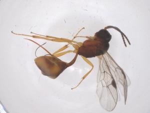  ( - CBG-A69165-F02)  @11 [ ] CreativeCommons - Attribution Share - Alike (2025) Centre for Biodiversity Genomics Centre for Biodiversity Genomics