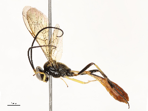  ( - CBG-A67016-F12)  @11 [ ] CreativeCommons - Attribution Share - Alike (2025) CBG Photography Group Centre for Biodiversity Genomics