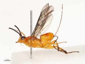  ( - CBG-A67824-G05)  @11 [ ] CreativeCommons - Attribution Share - Alike (2025) CBG Photography Group Centre for Biodiversity Genomics