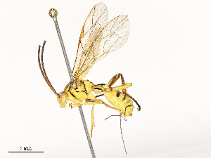  ( - CBG-A67830-E12)  @11 [ ] CreativeCommons - Attribution Share - Alike (2025) CBG Photography Group Centre for Biodiversity Genomics