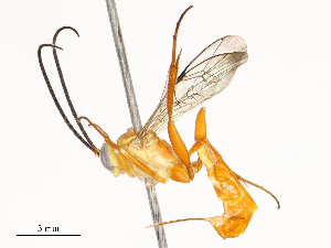  ( - CBG-A67830-H01)  @11 [ ] CreativeCommons - Attribution Share - Alike (2025) CBG Photography Group Centre for Biodiversity Genomics