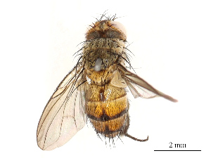  ( - CBG-A67863-C04)  @11 [ ] CreativeCommons - Attribution Share - Alike (2025) CBG Photography Group Centre for Biodiversity Genomics