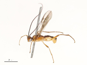  ( - CBG-A67863-F06)  @11 [ ] CreativeCommons - Attribution Share - Alike (2025) CBG Photography Group Centre for Biodiversity Genomics