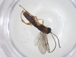  ( - CBG-A69197-D10)  @11 [ ] CreativeCommons - Attribution Share - Alike (2025) Centre for Biodiversity Genomics Centre for Biodiversity Genomics