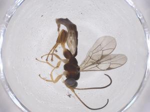  ( - CBG-A69524-F06)  @11 [ ] CreativeCommons - Attribution Share - Alike (2025) Centre for Biodiversity Genomics Centre for Biodiversity Genomics