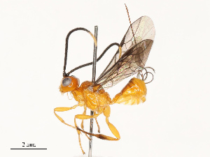  ( - CBG-A69613-E11)  @11 [ ] CreativeCommons - Attribution Share - Alike (2025) CBG Photography Group Centre for Biodiversity Genomics