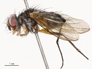  ( - CBG-A69614-B01)  @11 [ ] CreativeCommons - Attribution Share - Alike (2025) CBG Photography Group Centre for Biodiversity Genomics